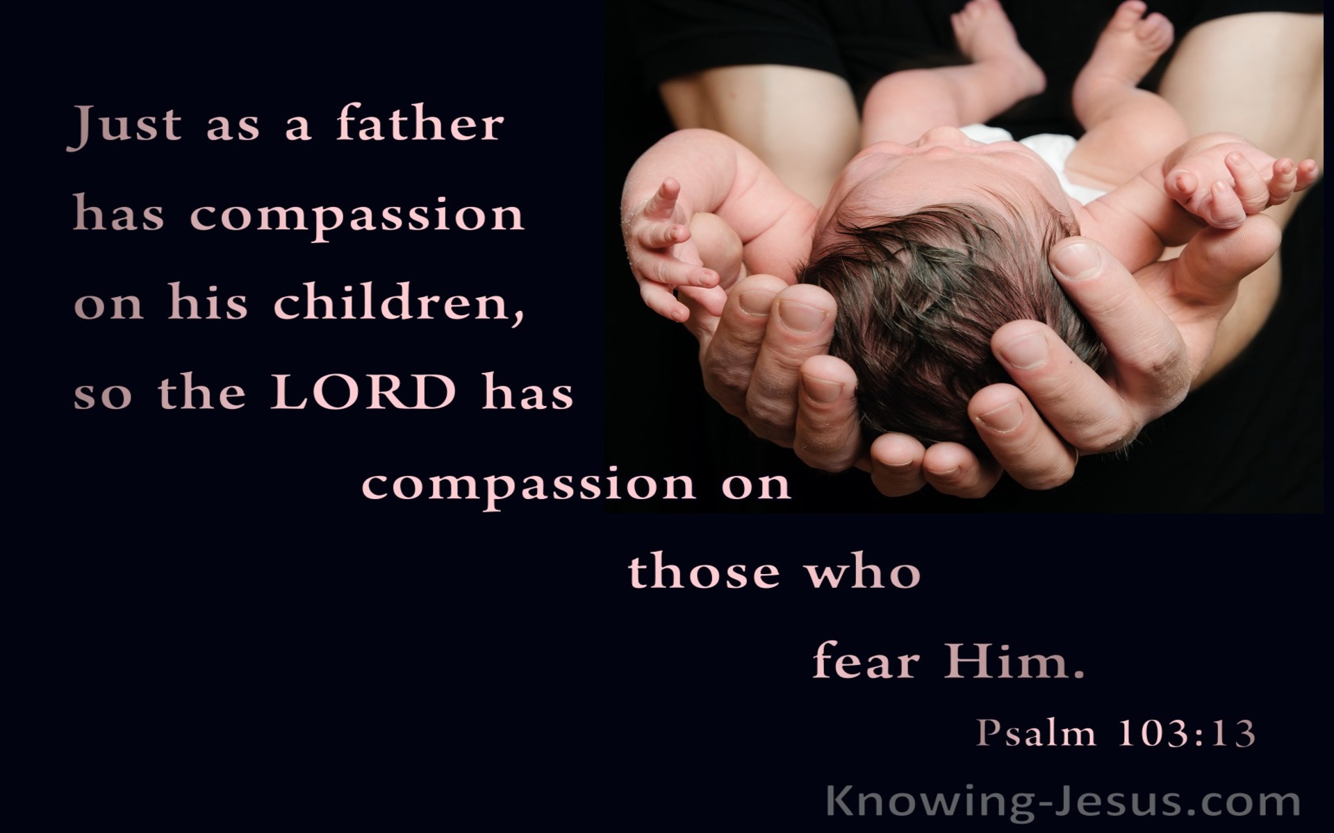 Psalm 103:13 Just as a father has compassion on his children (pink)
